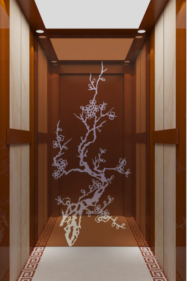 湖南DOER-V25新中式別墅電梯